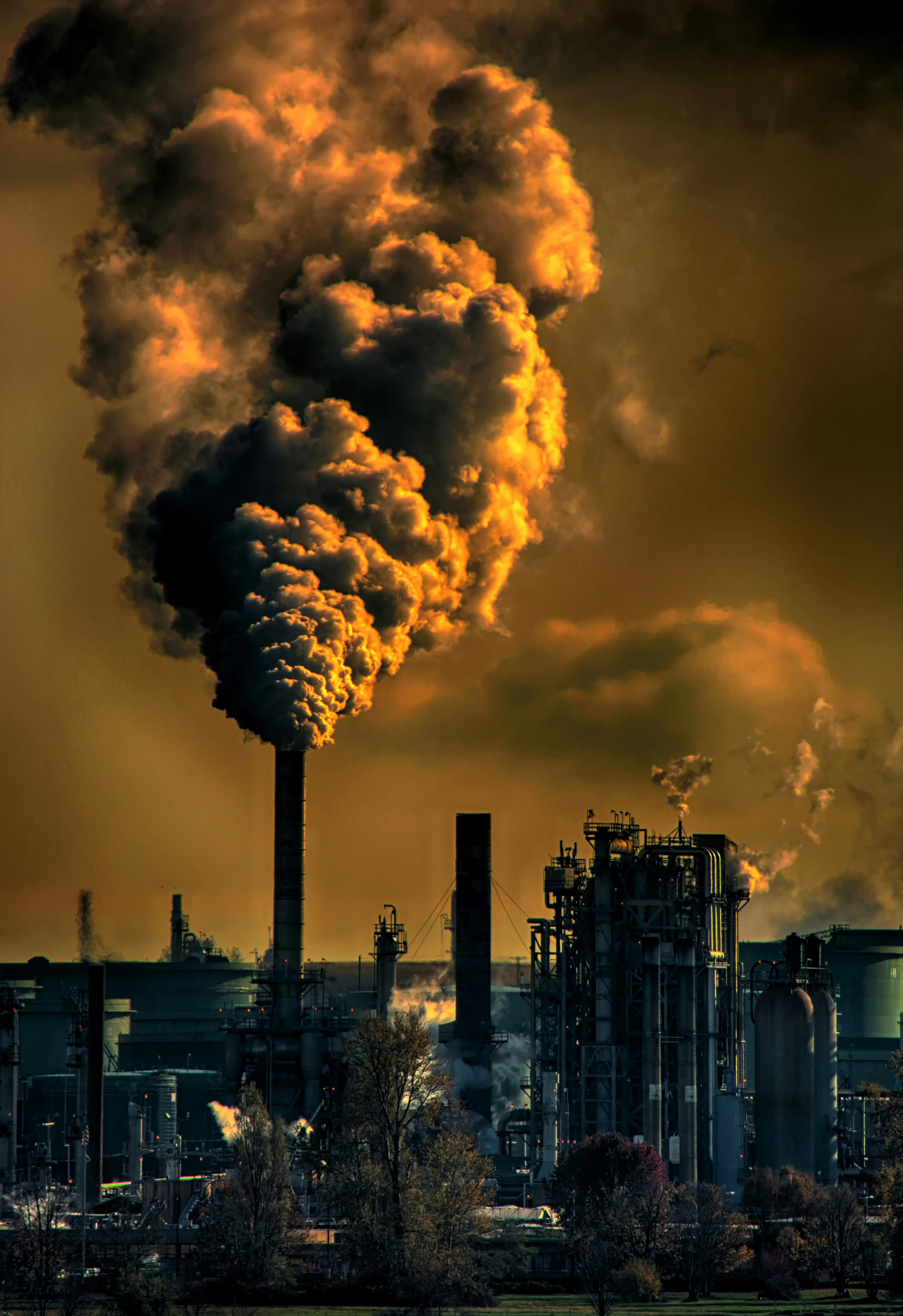 Environmental Conference